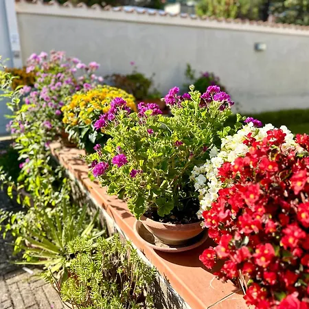 Invilla - Quality Bed & Breakfast Santa Maria di Castellabate