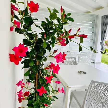 Bed & Breakfast Invilla - Quality