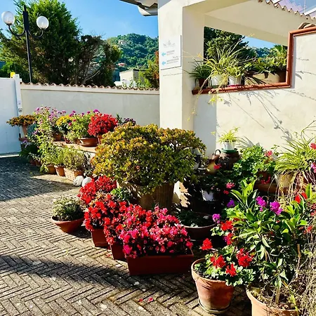 Bed & Breakfast Invilla - Quality Santa Maria di Castellabate