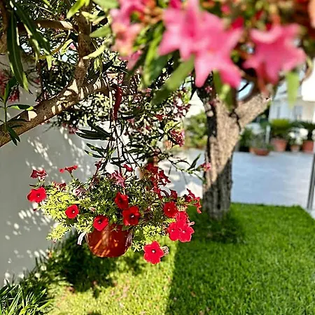 فندق مبيت وإفطار Invilla - Quality